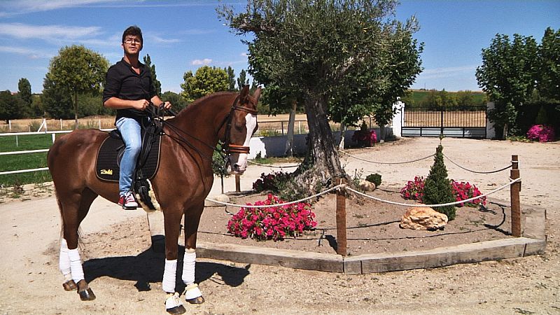 Paco Sáchez en Salamanca,  nos enseña cómo ha evolucionado uno de los inventos más antiguos, la silla de montar.