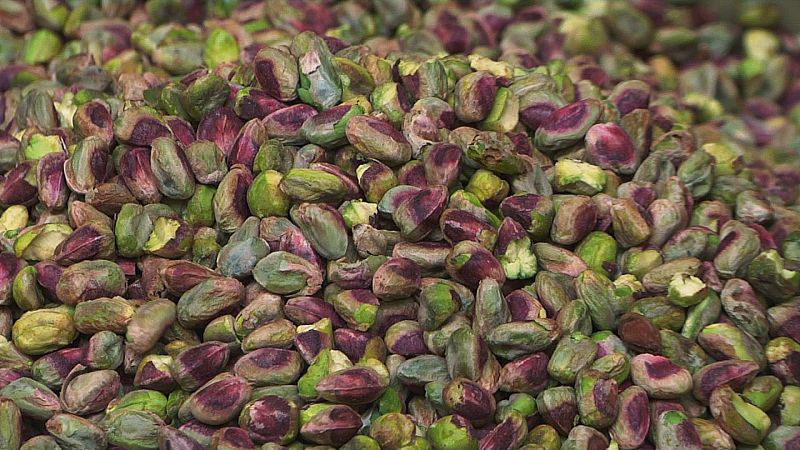 Una máquina, separa los sucios de los limpios y  aquí se  dividen por tamaños.