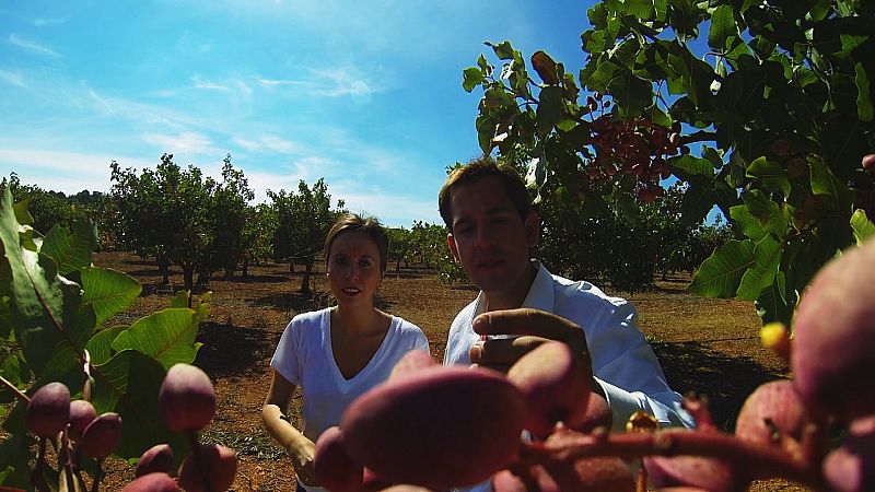 Miriam Posadas nos lleva al campo, en Ciudad Real, para ver cómo se produce uno de los frutos secos que mas gustan a los españoles.