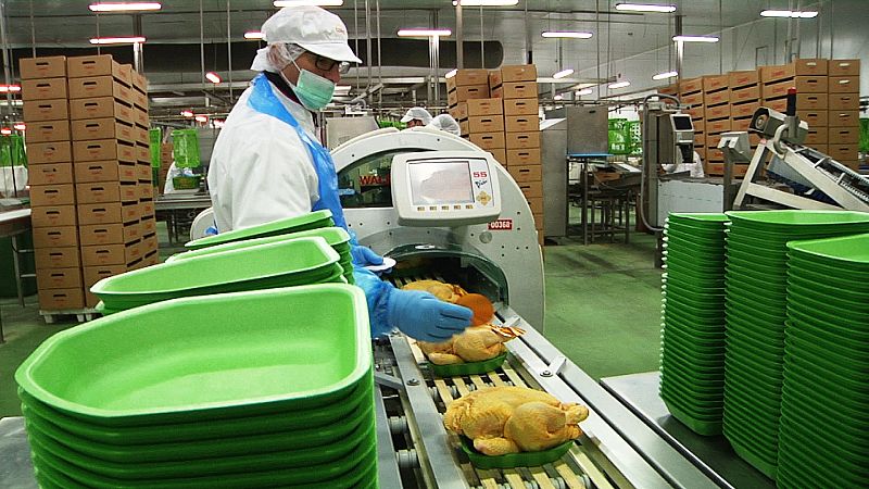 Se refrigeran para que se mantenga la cadena de frio durante todo el proceso.