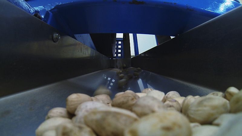 De ahí,  pasan a un tanque de flotación, donde los que están vacíos se quedan flotando y los que están  llenos, como pesan más, bajan hacia el fondo.