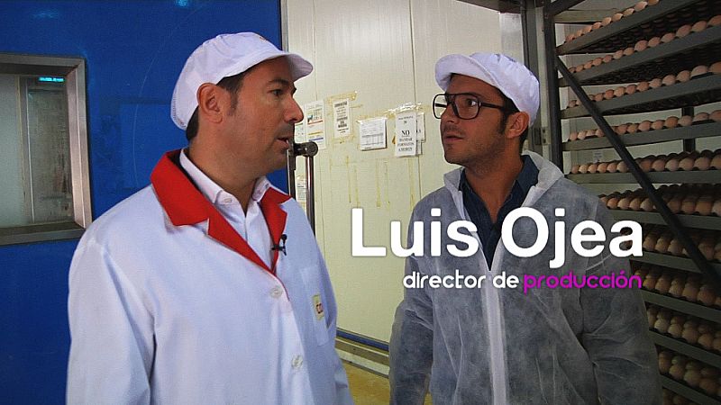 Para procesar un pollo, necesitamos primero un huevo fertilizado.