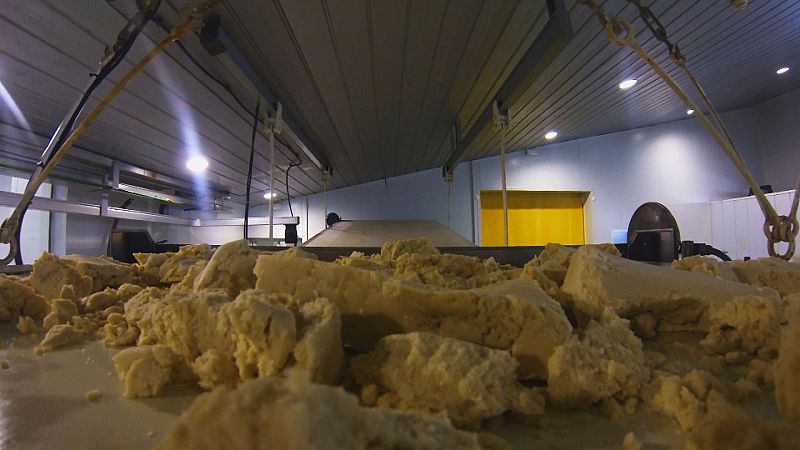 Seguidamente las galletas pasan por un proceso de cocción que se divide en tres fases con distintas temperaturas