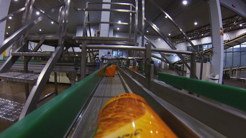 Por suerte, hoy en día existen opciones también para los celíacos como las galletas sin gluten que hoy fabricamos.