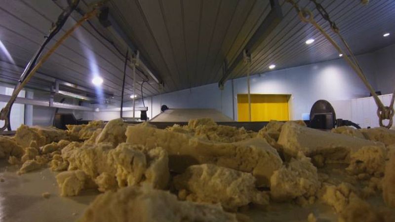 Las harinas, el azúcar, el  agua y las grasas son amasadas en esta tolva durante 20 minutos para después pasar al laminado.