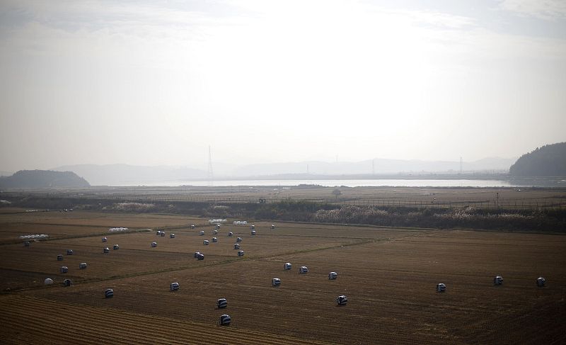 Zona desmilitarizada entre las Coreas del Norte y del Sur. Campo de arroz frente a una alambrada de espino en Paju