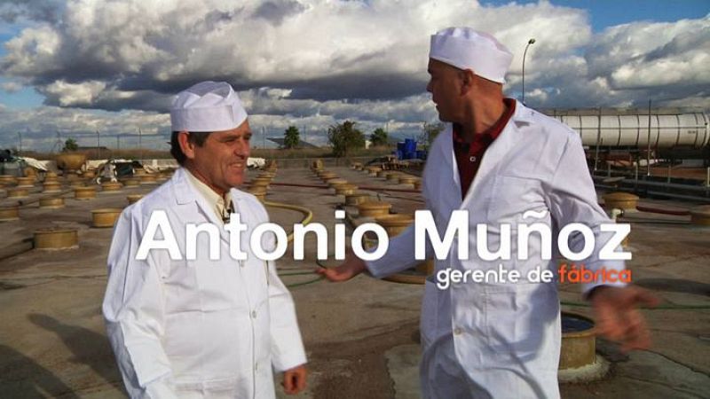 San Morales en Almendralejo, Badajoz, nos responde a esa pregunta que nos hemos hecho todos cada vez que hemos comido un aceituna rellena, cómo le quitarán el hueso