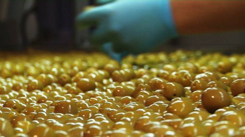 Las aceitunas válidas son separadas por diferentes tamaños. ¡Todas estas aceitunas ya están listas para meterlas un relleno!