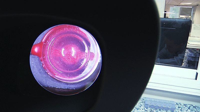 Con este minúsculo diamante vamos quitando material al mismo tiempo que le vamos haciendo la curvatura del interior.