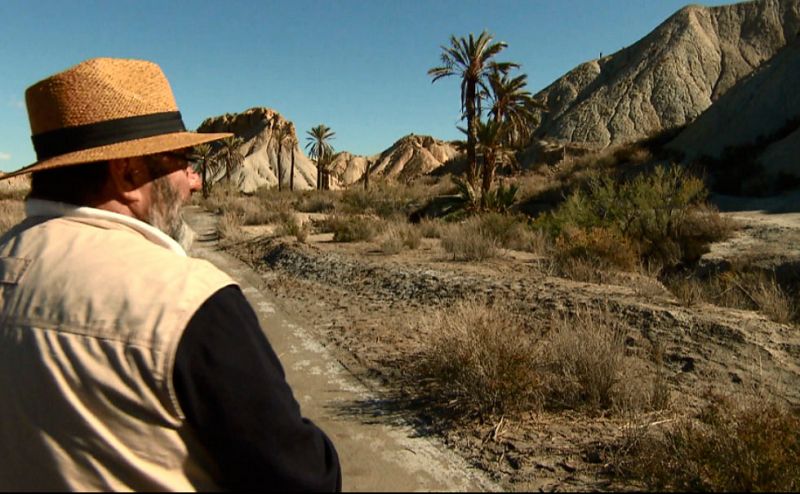 En el desierto de Tabernas, en el oasis donde se rodó la emblemática Lawrence de Arabia