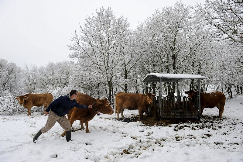 TEMPORAL DE NIEVE Y FRÍO