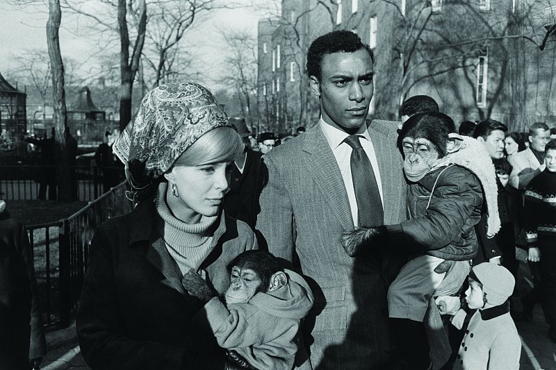 Garry Winogrand, "Zoo de Central Park, Nueva York", 1967