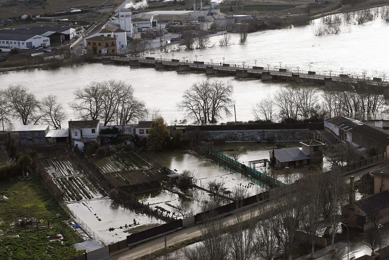 Daños en los cultivos tras la crecida del rio Ebro a su paso por Castejón