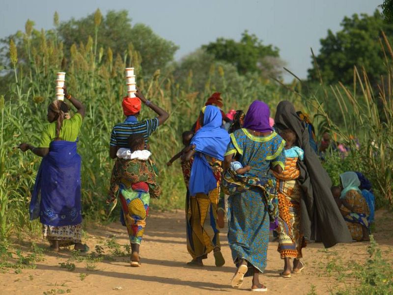 Cada año los países ricos desperdician 1.300 millones de alimentos.
