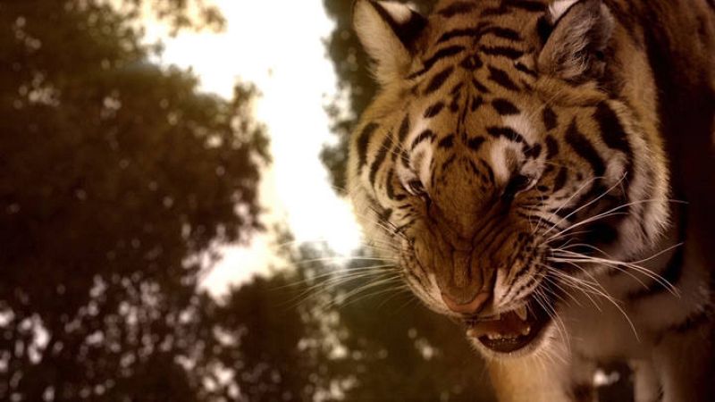  Las mejores imágenes del videoclip de 'Amanecer'