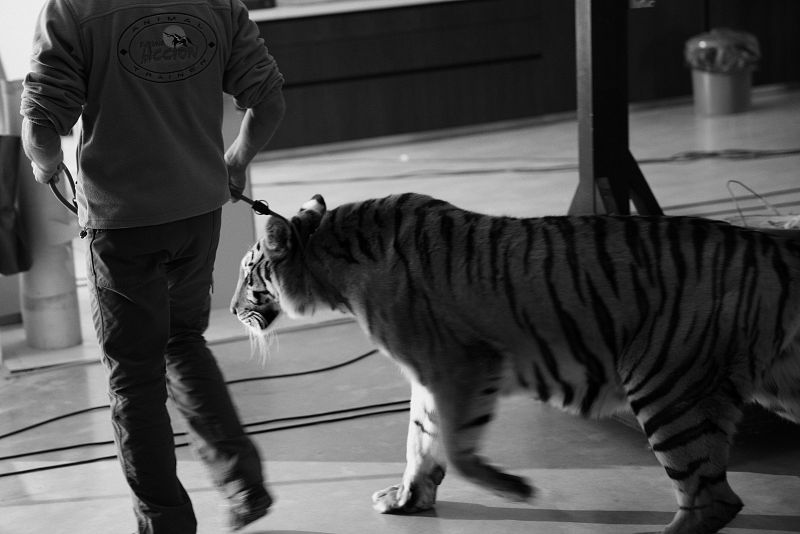 Así se rodó el videoclip de 'Amanecer'