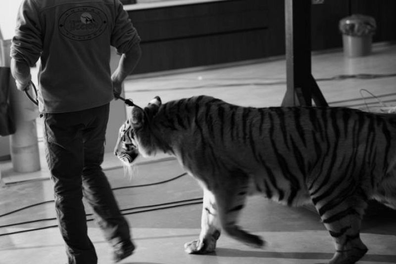  Así se rodó el videoclip de 'Amanecer'