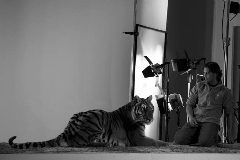   Así se rodó el videoclip de 'Amanecer'