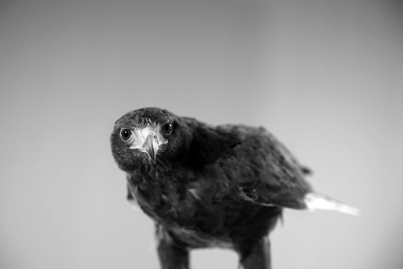 Así se rodó el videoclip de 'Amanecer'