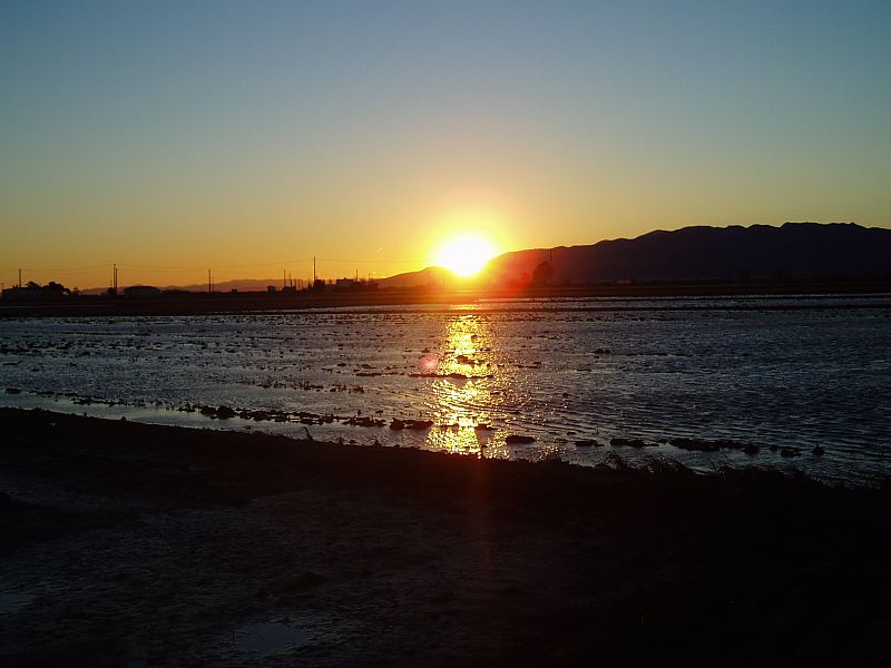 Puesta de sol en el delta del Ebro