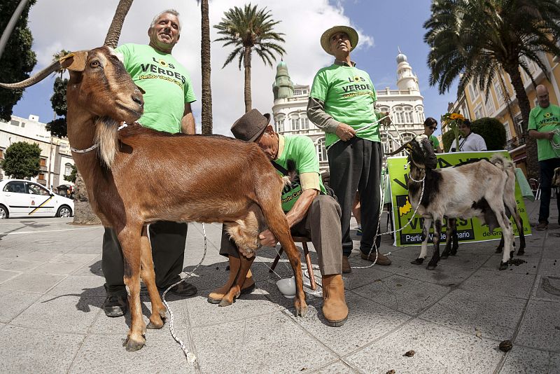 ELECCIONES PARTIDO VERDE