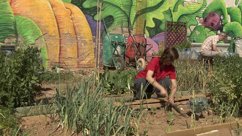  Cualquier persona puede acceder a una parcela apuntándose previamente en la lista de espera