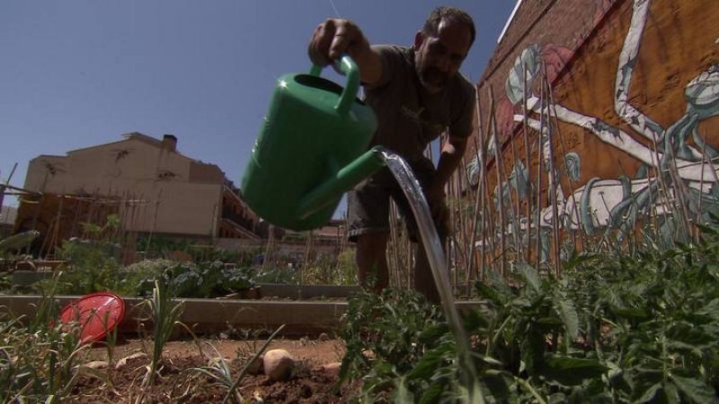 La falta de suministro de agua es el principal problema en el área de cultivo