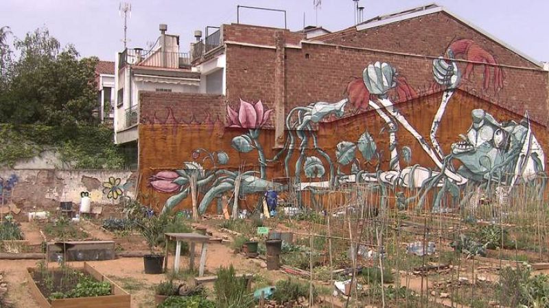  El "Hort amb Gràcia" ha echado raíces en un solar que llevaba años acumulando escombros
