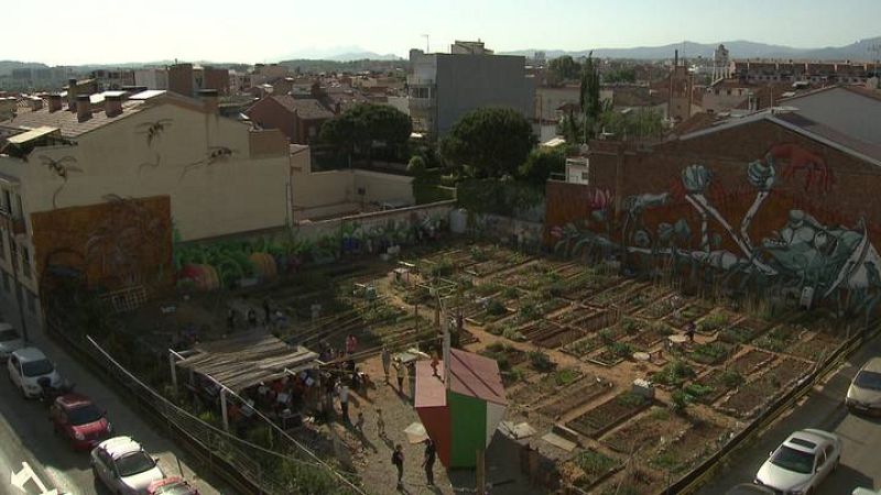  El espacio se divide en 50 parcelas individuales y una zona común