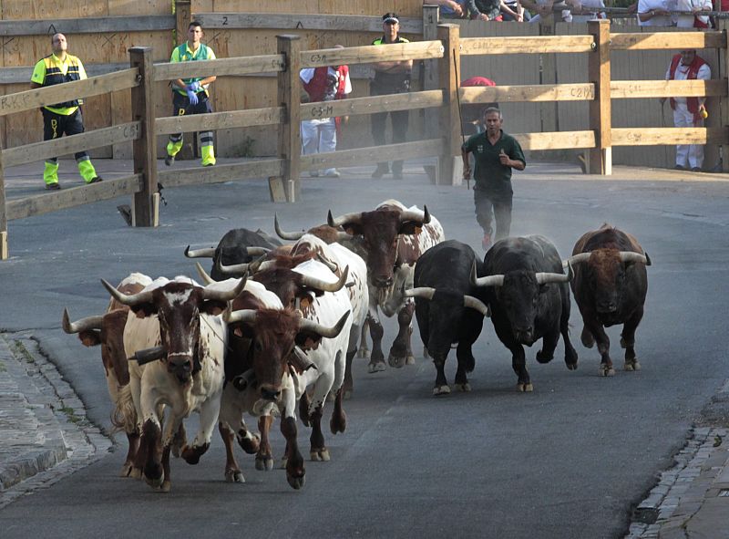 Los seis astados de la ganadería Jandilla salen de los corrales de Santo Domingo