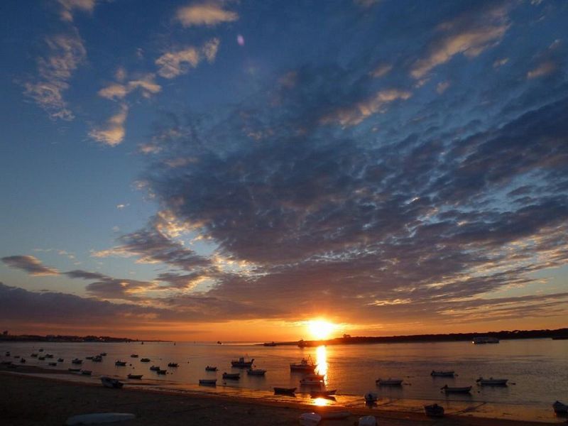 Sanlúcar de Barrameda (Cádiz)