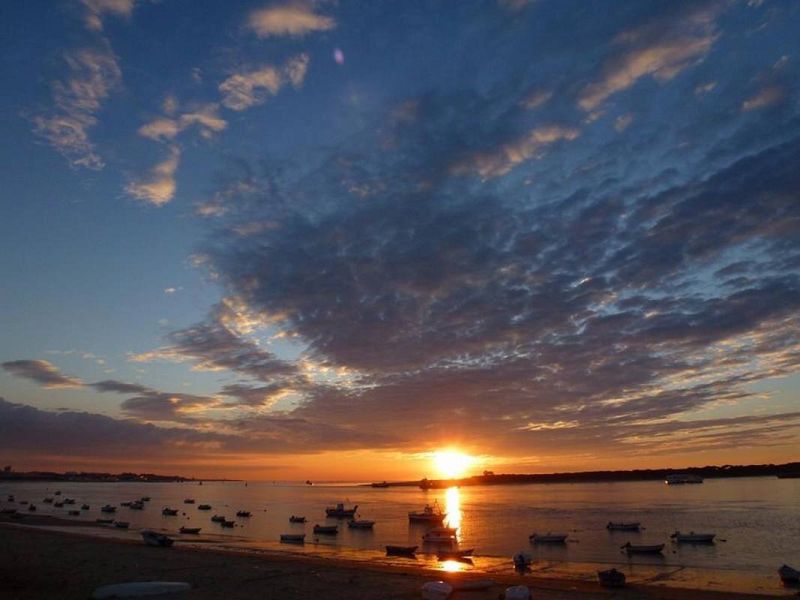   Sanlúcar de Barrameda (Cádiz)