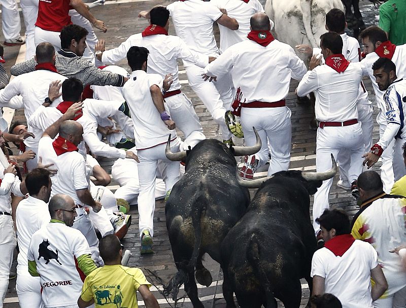 Los mozos han podido lucirse al estirarse la manada