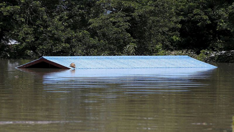 Un perro, en el tejado de una casa bajo las aguas en Kalay. 210.000 personas se han visto afectadas por las inundaciones.