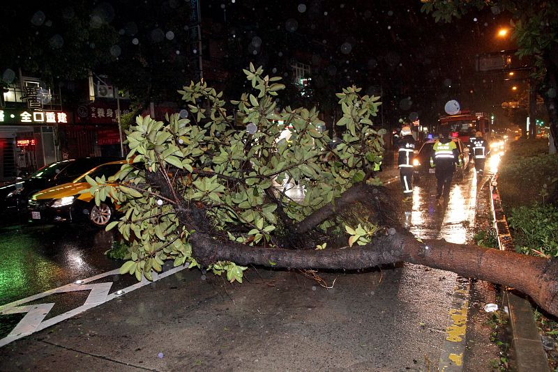 Un equipo de bomberos retira un árbol caído en Taipei tras el paso del tifón Soudelor que ahora se dirige a China.