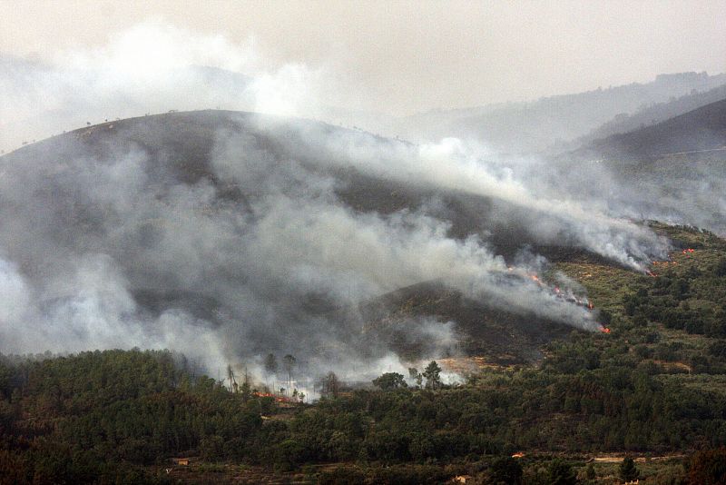 Uno de los frentes del incendio de la Sierra de Gata, en el término de Acebo