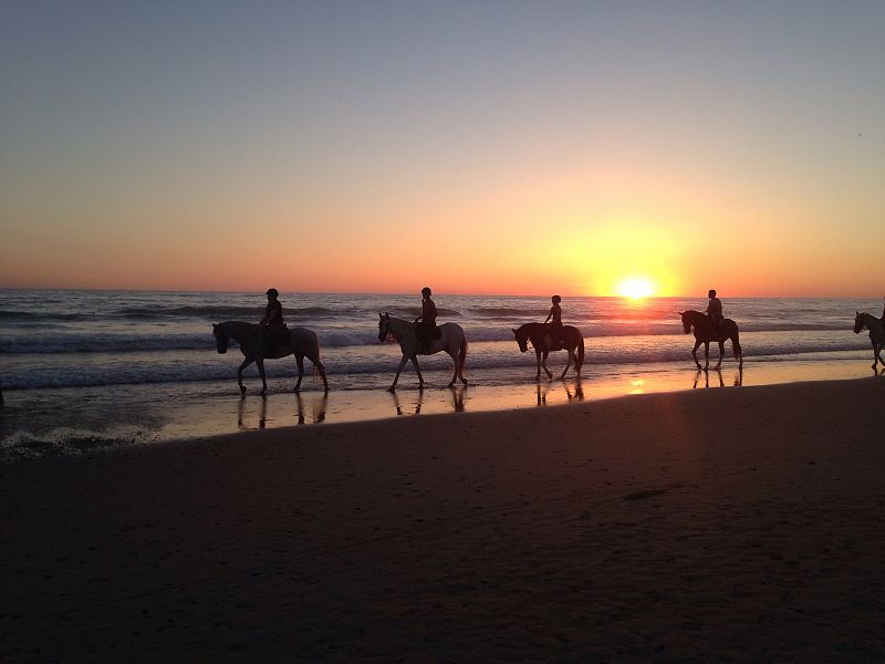 Playa de la Barrosa (Chiclana de la Frontera, Cádiz).