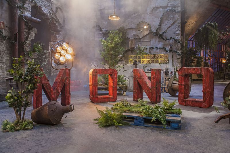 YO, MONO es una idea original para descubrir cómo somos los humanos