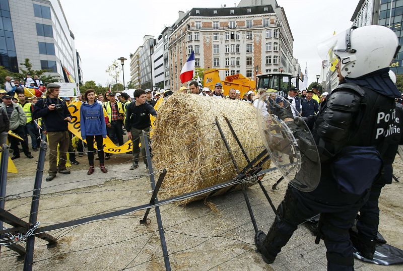 Miles de ganaderos europeos se manifiestan en las calles de Bruselas para pedir ayudas de emergencia a la UE por los bajos precios de la leche y otros productos