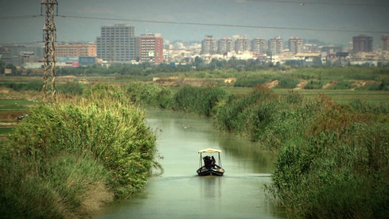 El ecoturismo ha salido favorecido en la Albufera con las mejoras en la calidad del agua