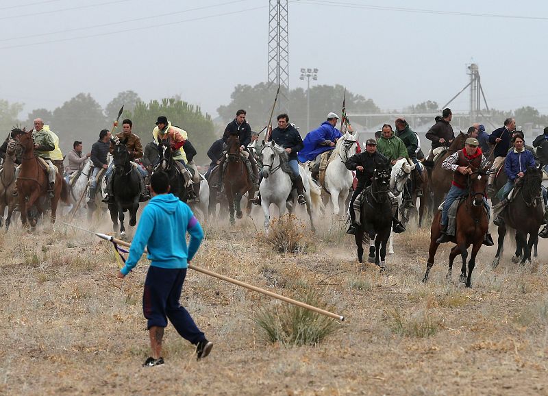 Lanceros a pie y montados a caballo persiguen al Toro de la Vega