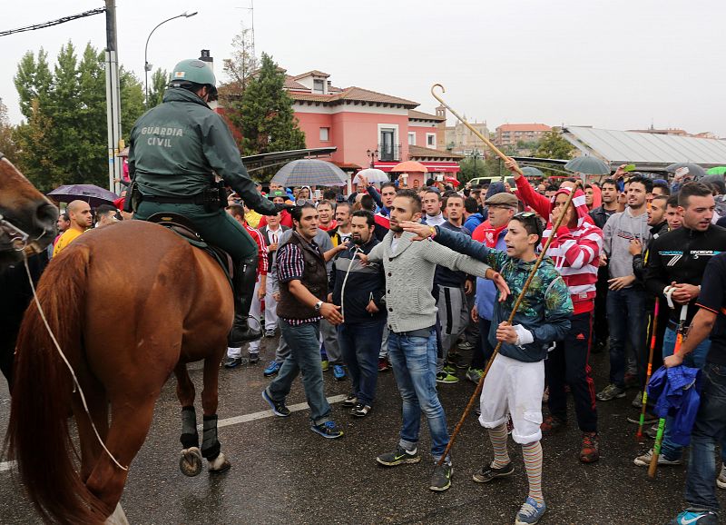 Un guardia civil trata de calmar a los participantes en el Torneo del toro de la Vega