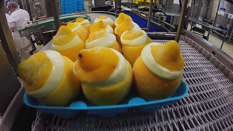 Fabricamos frutas heladas-7