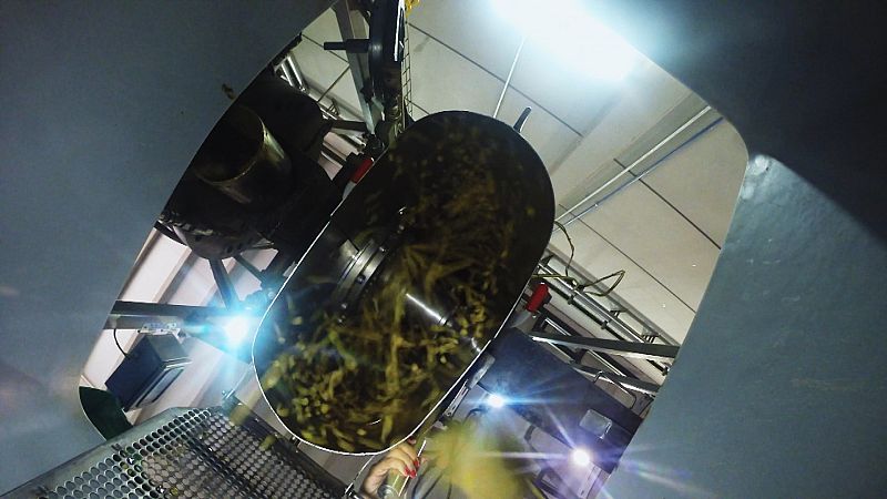 Fabricando croquetas para perro-4