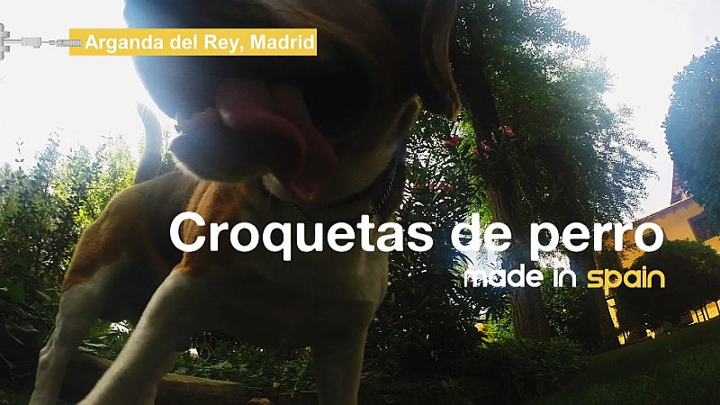 Fabricando croquetas para perro-1