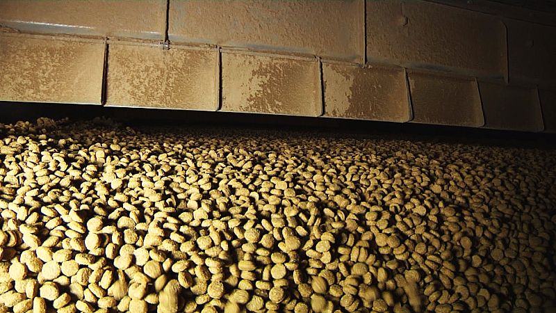 Fabricando croquetas para perro-5