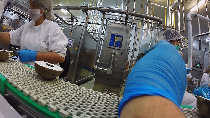 Fabricamos frutas heladas-8