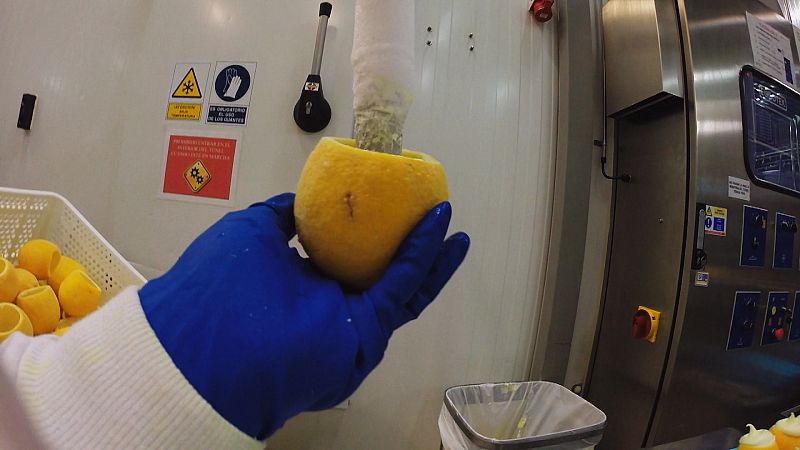 Fabricamos frutas heladas-5