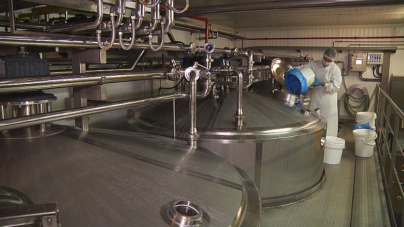 Fabricamos frutas heladas-3