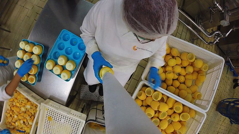 Fabricamos frutas heladas-6